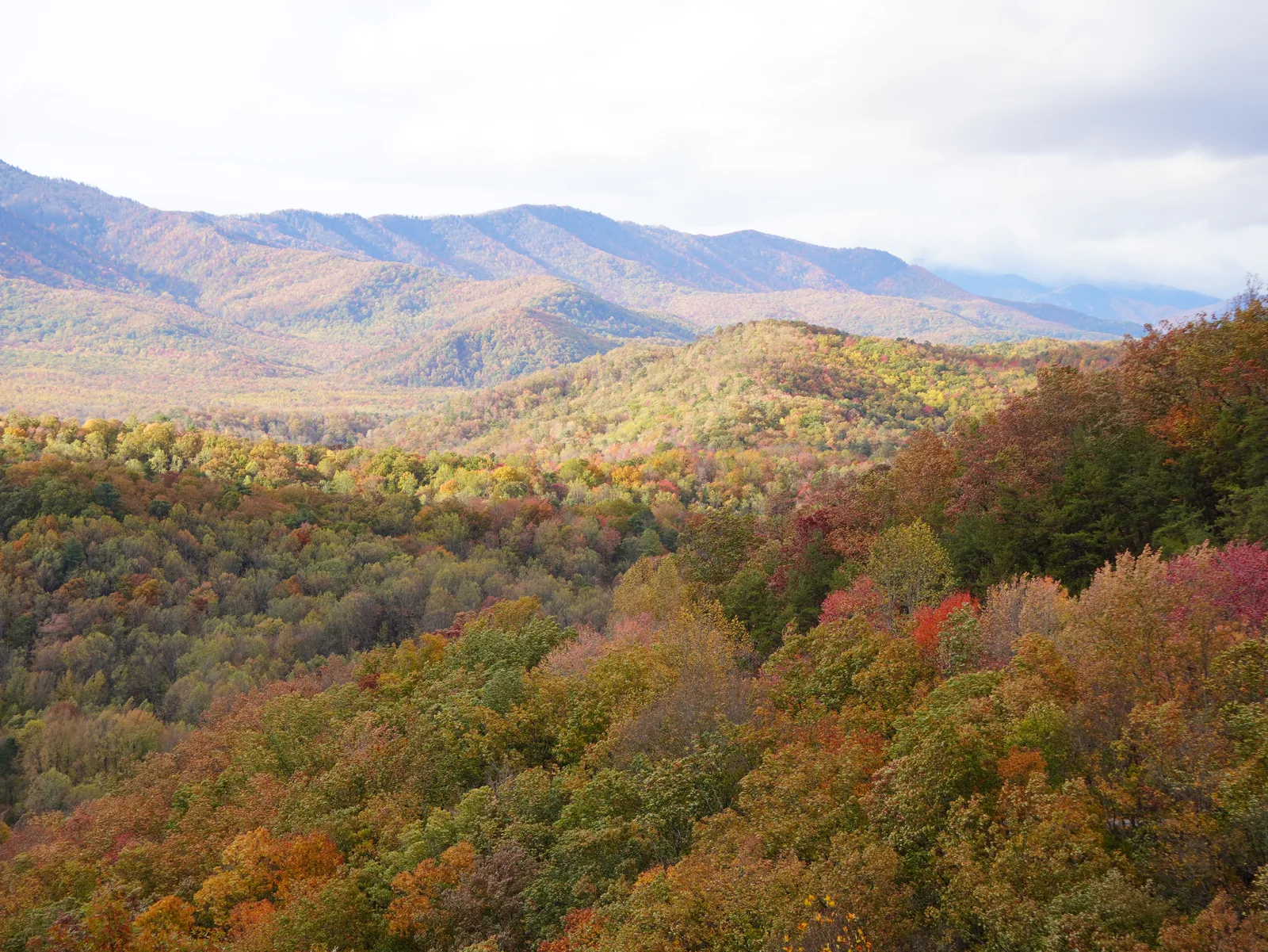 Autumn mountain overlook near Smoky Mountain Acres